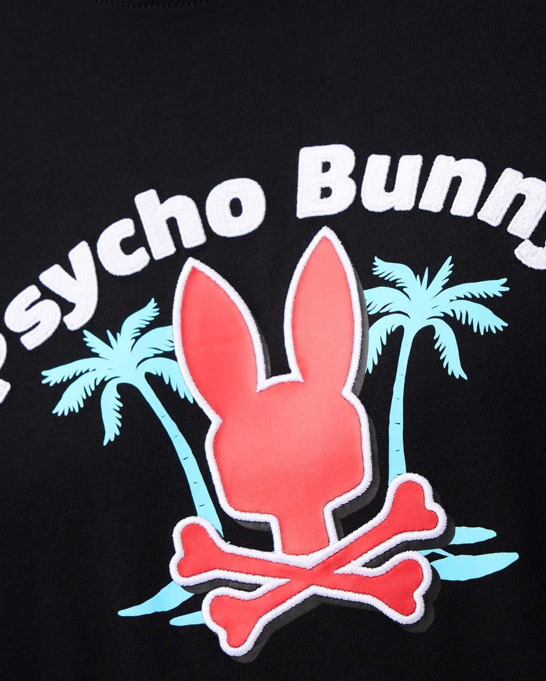 Tees Psycho Bunny Boston Graphic Tee Noir Homme | XSI-64014608